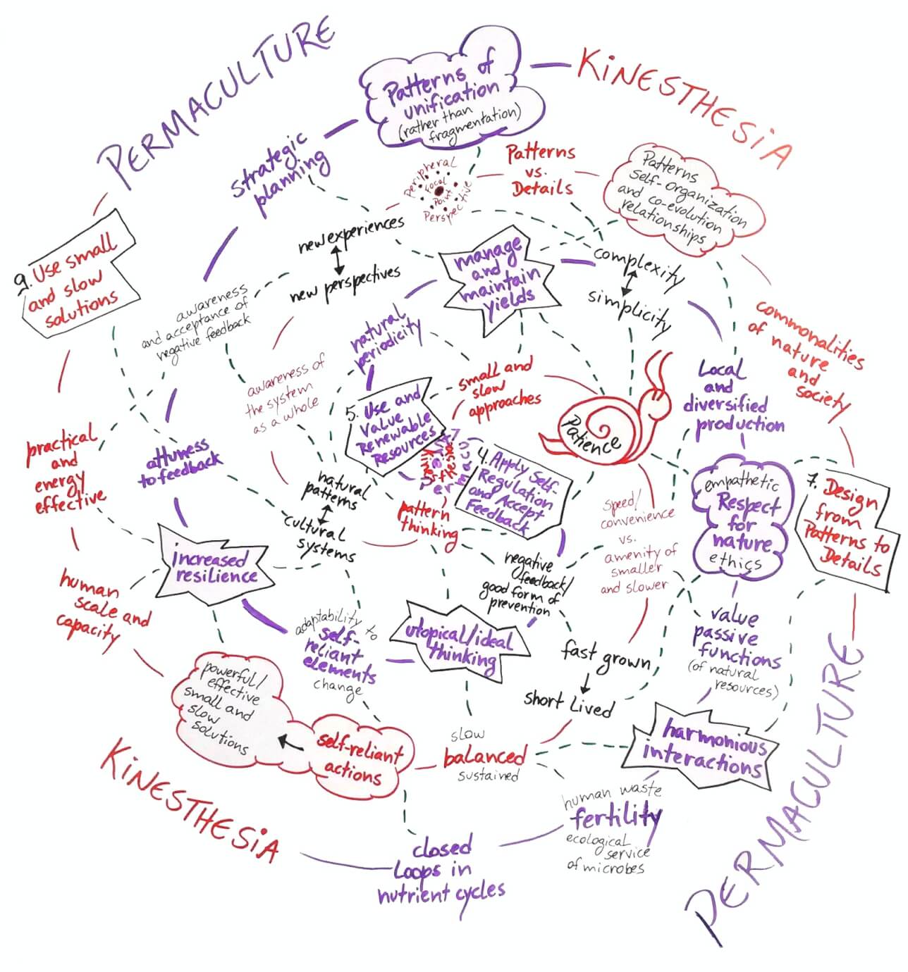 Schroeder Permaculture Helical Aesthetics Img. 2