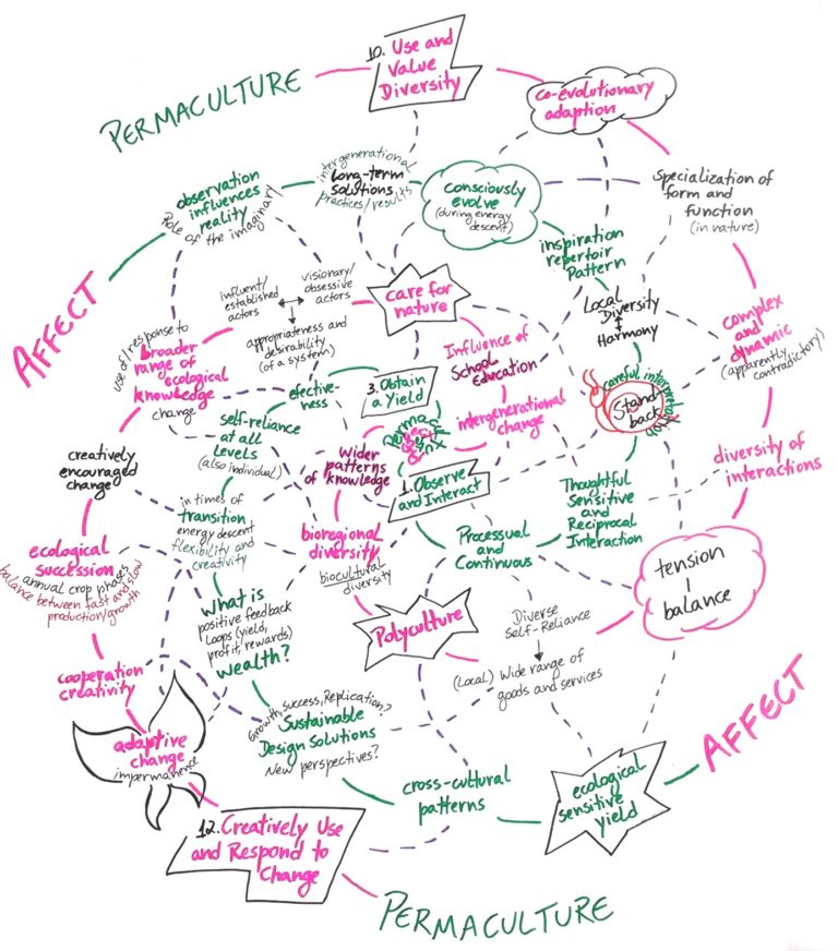 Andressa Schröder: A Poetic Reading of Permaculture in Three Helical ...