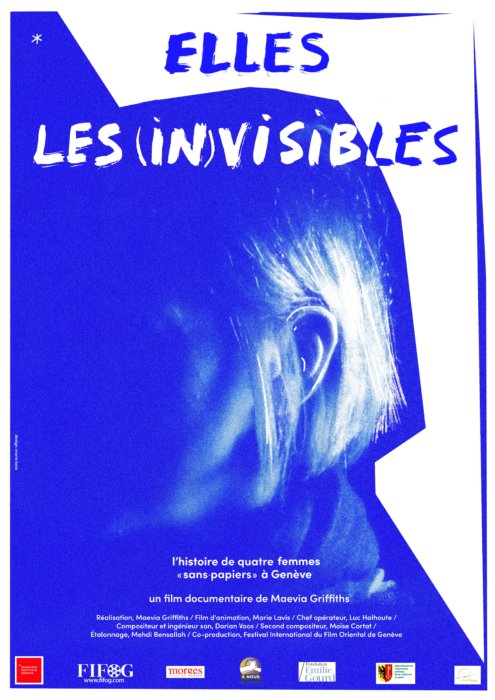 Poster of Elles les (in)visibles