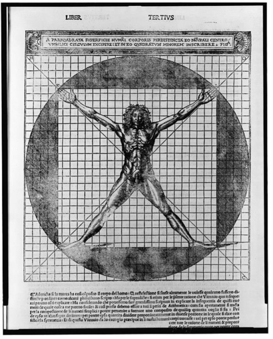 drawing of the Vitruvian Man by Cesare Cesariano