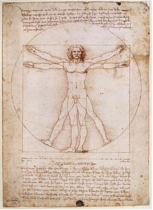 the Vitruvian Man by Leonardo Da Vinci, a drawing of a man showing his proportions